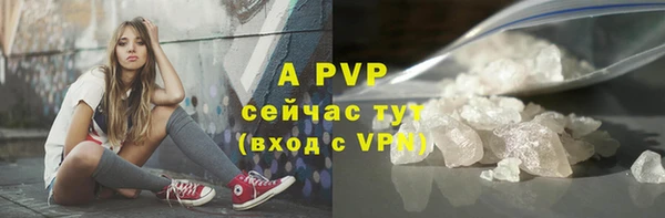 ECSTASY Магас
