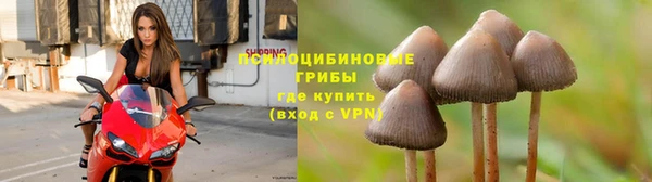 прущая мука Алексин