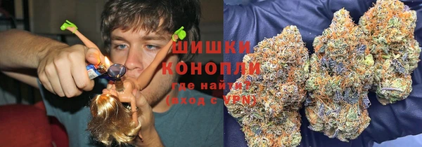 дурь Алзамай