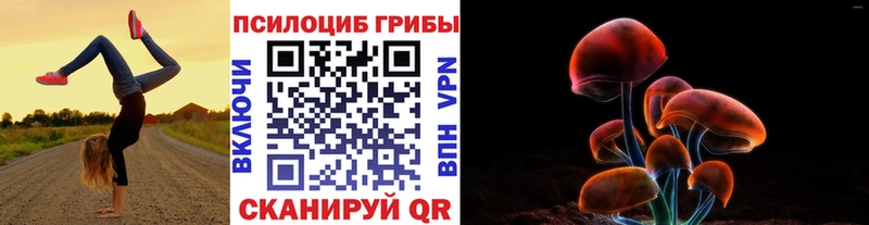 Галлюциногенные грибы прущие грибы Купить где Тверь